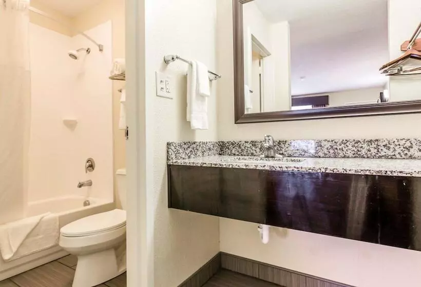 ２ダブルベッドのスタンダードルーム, Quality Inn Mt Pleasant   Charleston