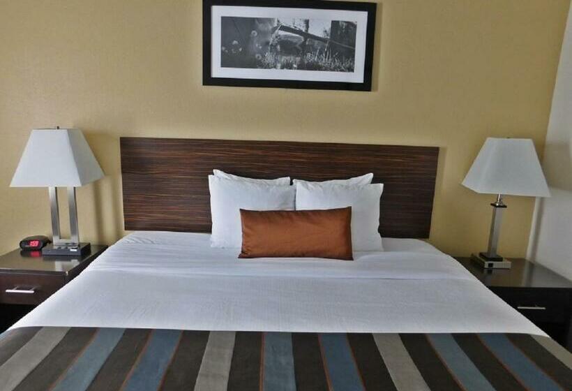 キングサイズベッドのスタンダードルーム, Wingate By Wyndham Bowling Green