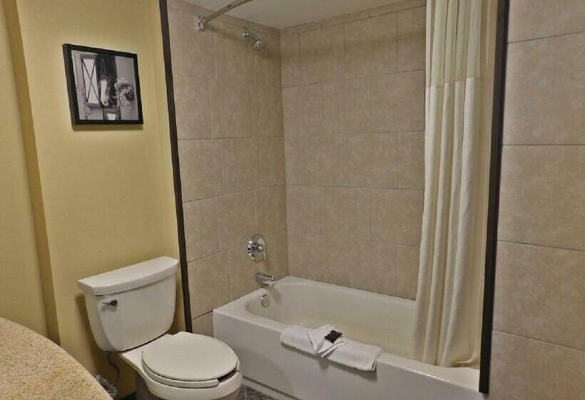 キングサイズベッドのスタンダードルーム, Wingate By Wyndham Bowling Green