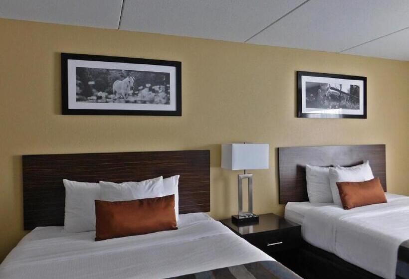 スタンダードスタジオ, Wingate By Wyndham Bowling Green