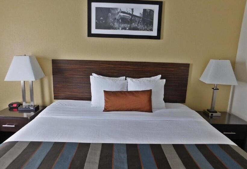 デラックススタジオ, Wingate By Wyndham Bowling Green