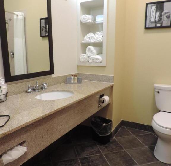 デラックススタジオ, Wingate By Wyndham Bowling Green