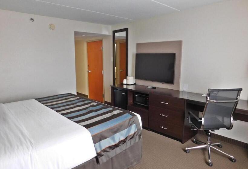 身障者適用キングサイズベッドルーム, Wingate By Wyndham Bowling Green