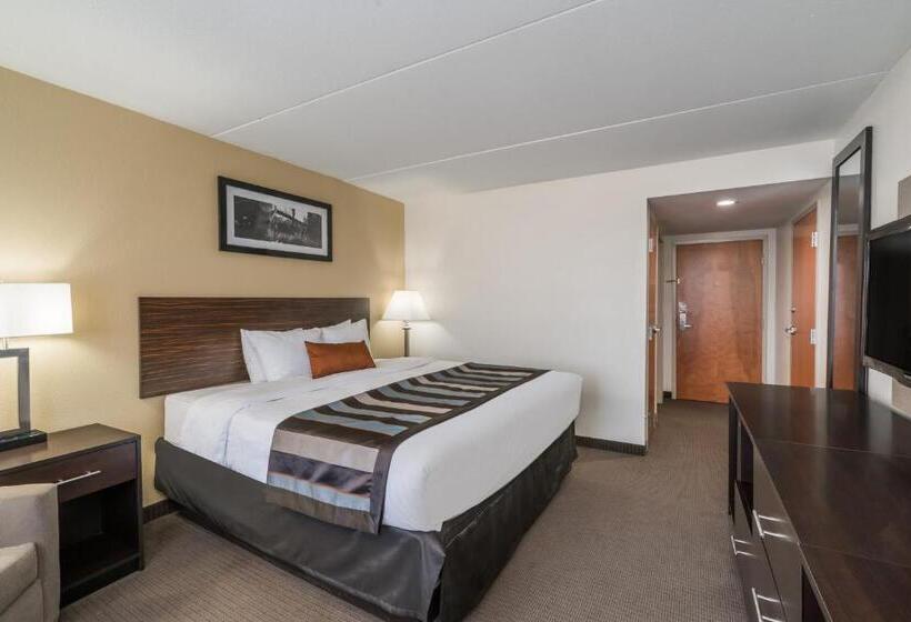 身障者適用キングサイズベッドルーム, Wingate By Wyndham Bowling Green