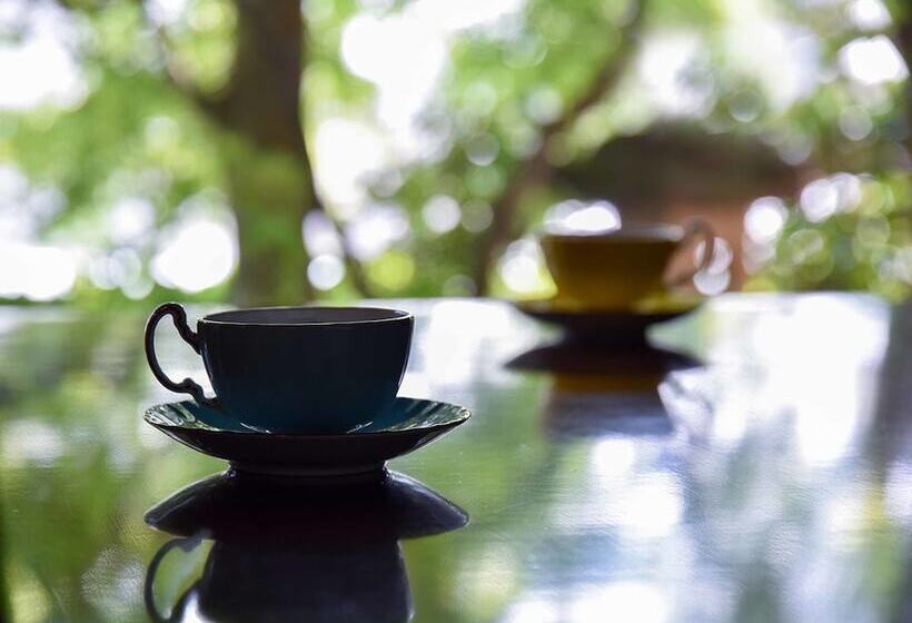 סוויטה, Yamatoya Besso