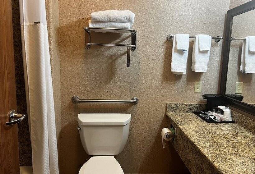 Люкс Адаптированный для Инвалидов, Baymont By Wyndham Cuero