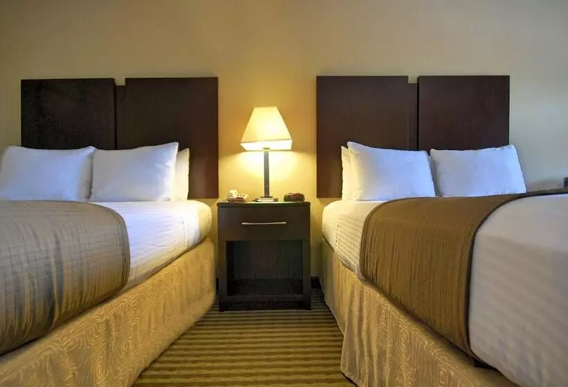 スタンダードルーム, Best Western Cedar Inn