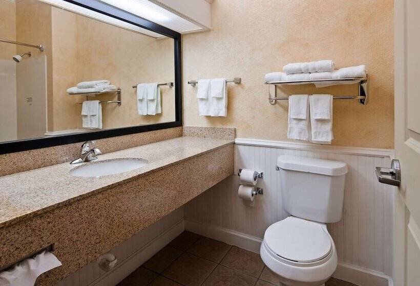 סוויטה, Best Western Dinosaur Valley Inn & Suites