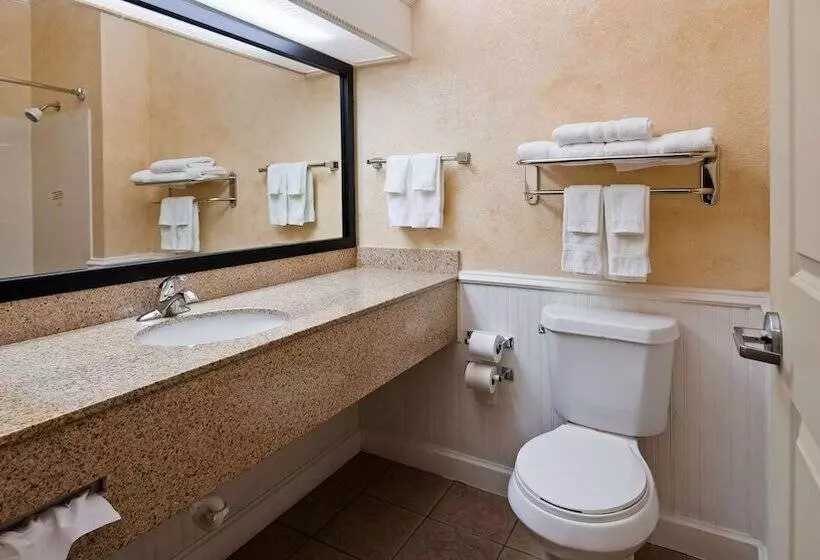 スイート, Best Western Dinosaur Valley Inn & Suites