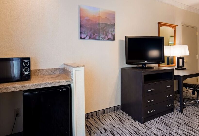 סוויטה, Best Western Dinosaur Valley Inn & Suites