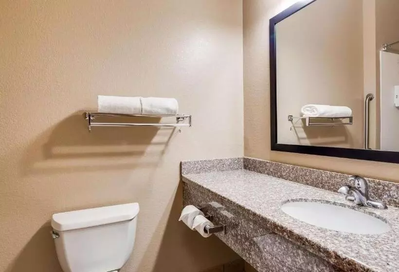 キングサイズベッドのスタンダードルーム, Best Western El Quartelejo Inn & Suites