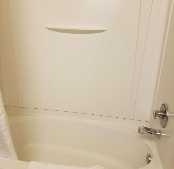 Номер Стандарт, Best Western El Quartelejo Inn & Suites