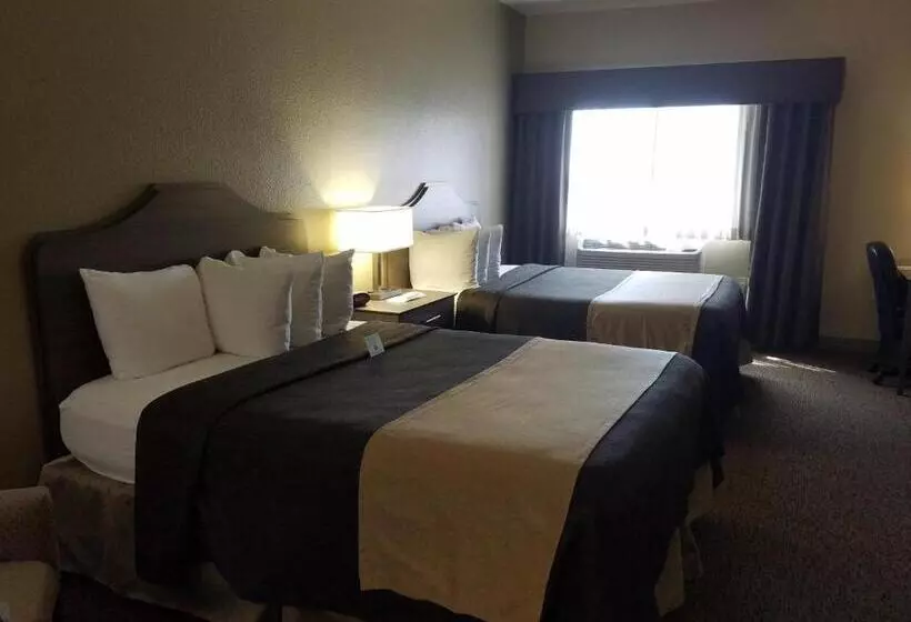 スタンダードルーム, Best Western El Quartelejo Inn & Suites