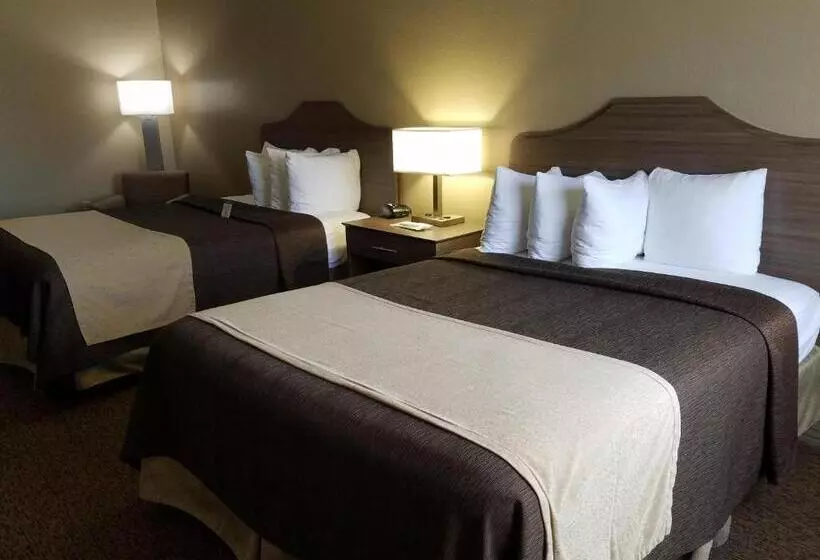 スタンダードルーム, Best Western El Quartelejo Inn & Suites