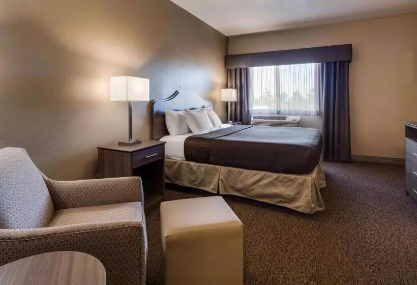 身障者適用クイーンサイズベッドルーム, Best Western El Quartelejo Inn & Suites