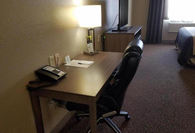 Номер Стандарт Кровать Кинг Адаптированный для Инвалидов, Best Western El Quartelejo Inn & Suites