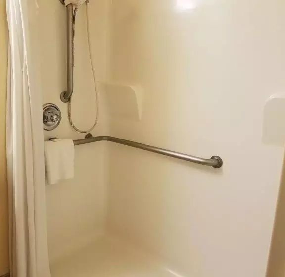 身障者適用キングサイズベッドルーム, Best Western El Quartelejo Inn & Suites