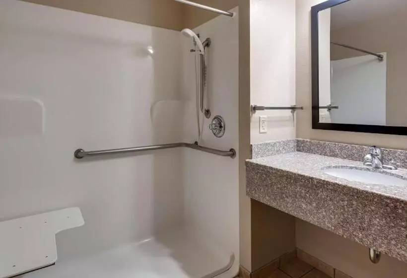 身障者適用キングサイズベッドルーム, Best Western El Quartelejo Inn & Suites