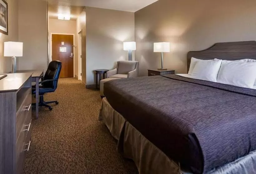 身障者適用キングサイズベッドルーム, Best Western El Quartelejo Inn & Suites