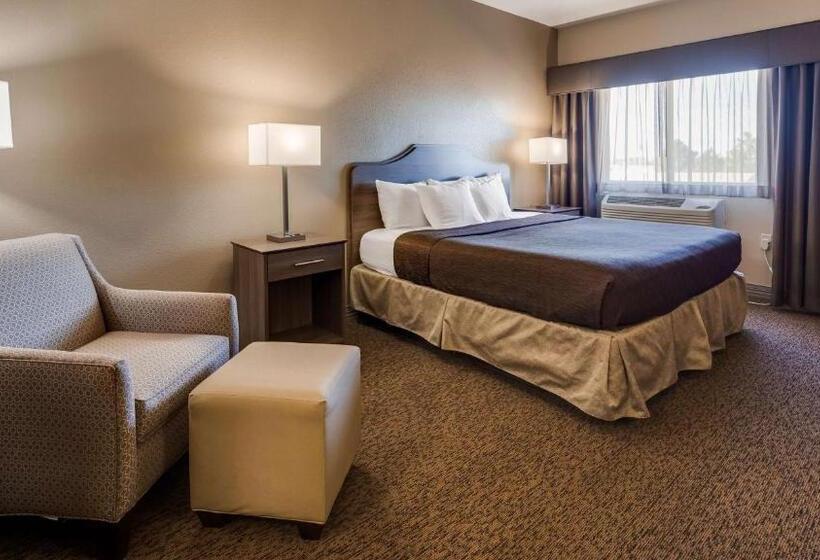 Номер Стандарт Кровать Кинг Адаптированный для Инвалидов, Best Western El Quartelejo Inn & Suites