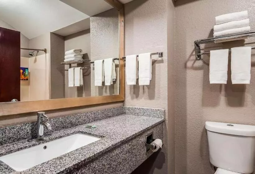 キングサイズベッドのスタンダードルーム, Best Western Executive Inn