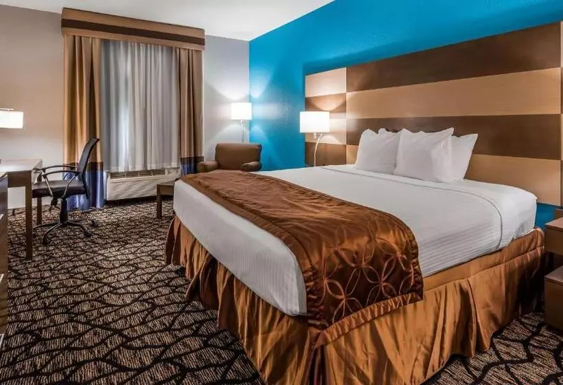 キングサイズベッドのスタンダードルーム, Best Western Executive Inn