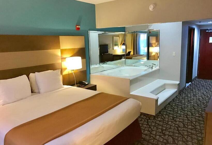 חדר סטנדרט עם מיטת קינג, Best Western Executive Inn