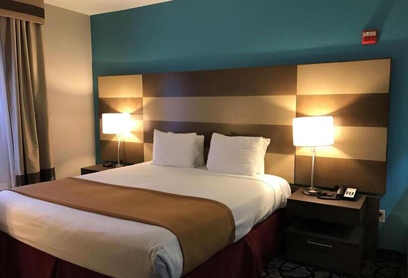 חדר סטנדרט, מיטת קינג, מותאם לאדם עם מוגבלויות, Best Western Executive Inn