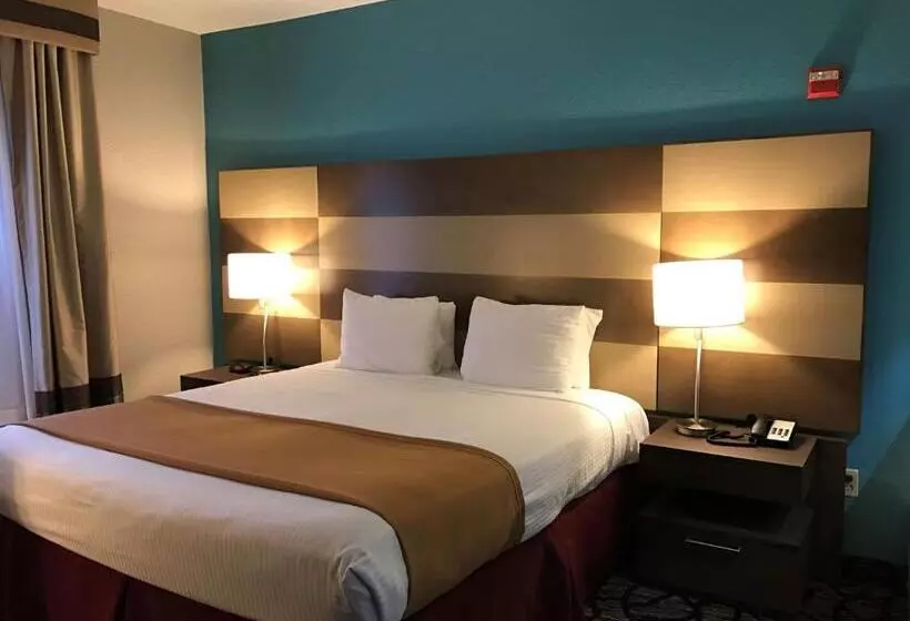 身障者適用キングサイズベッドルーム, Best Western Executive Inn