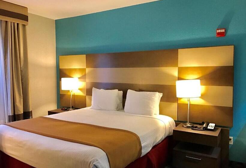 Номер Стандарт, Best Western Executive Inn
