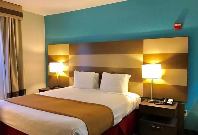 スタンダードルーム, Best Western Executive Inn