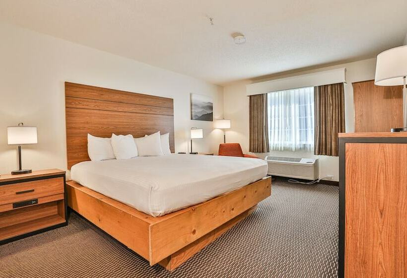 스탠다드 룸 더블 침대, Best Western Mountain View Inn