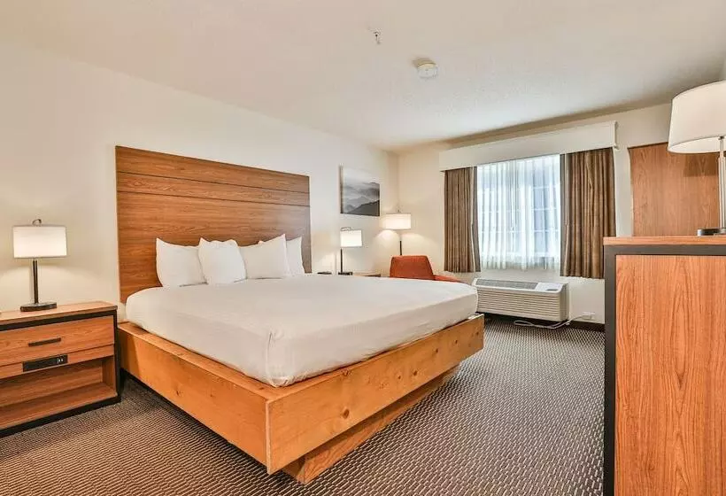 ダブルベッドスタンダードルーム, Best Western Mountain View Inn