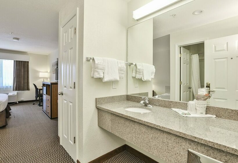 غرفة قياسية سرير مزدوج, Best Western Mountain View Inn