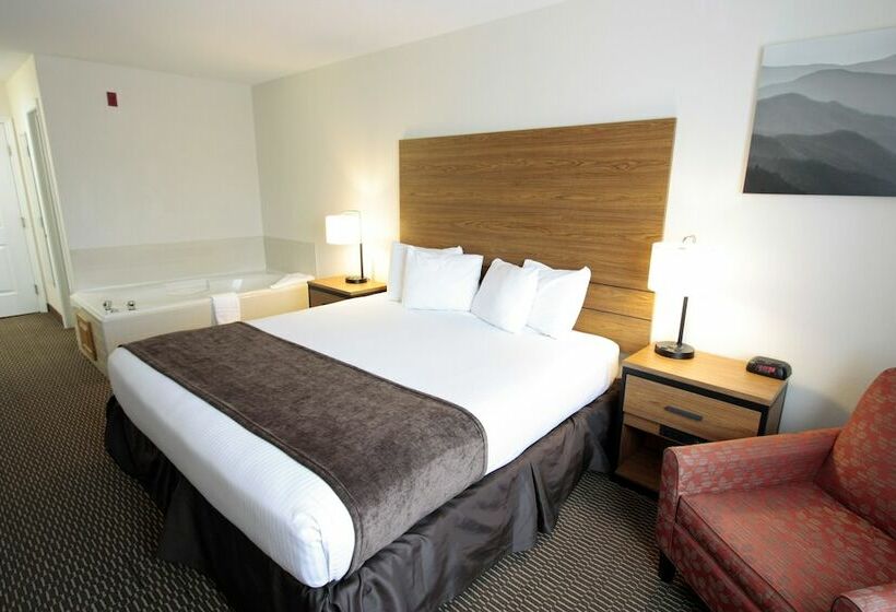 غرفة قياسية سرير مزدوج, Best Western Mountain View Inn