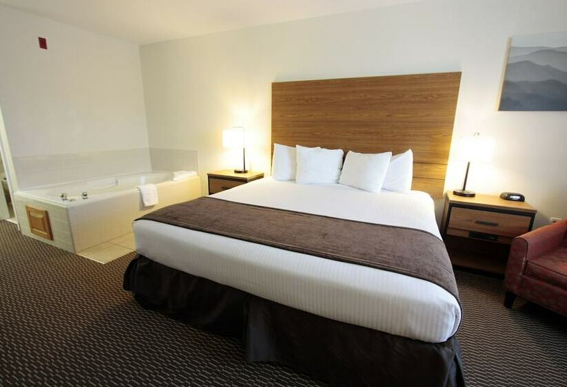 غرفة قياسية سرير مزدوج, Best Western Mountain View Inn