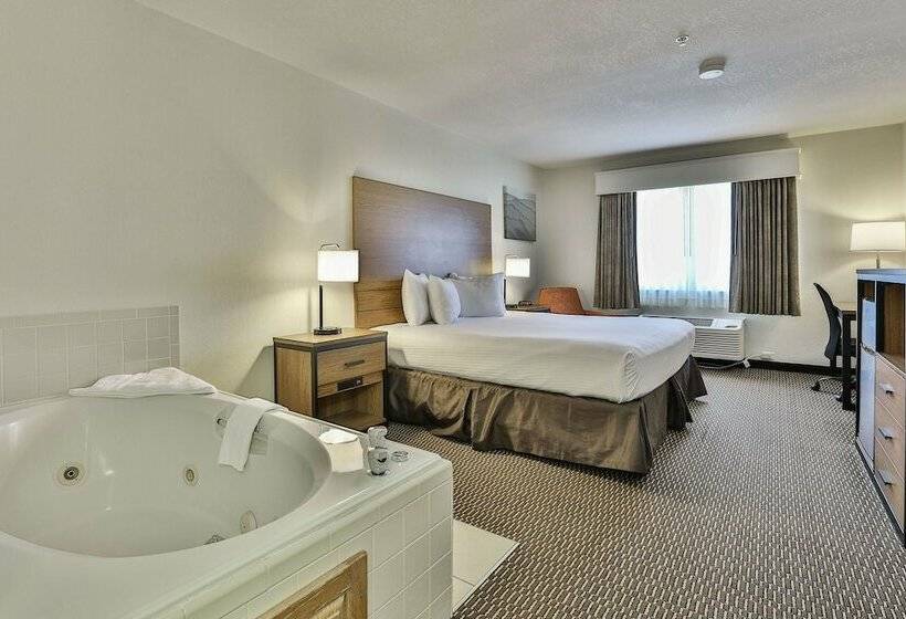 스탠다드 룸 더블 침대, Best Western Mountain View Inn