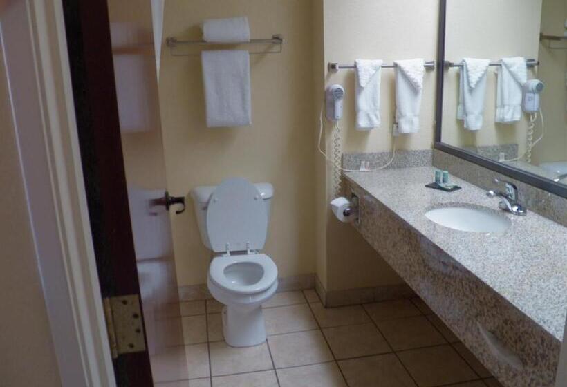 スタンダードルーム, Best Western Of Wise