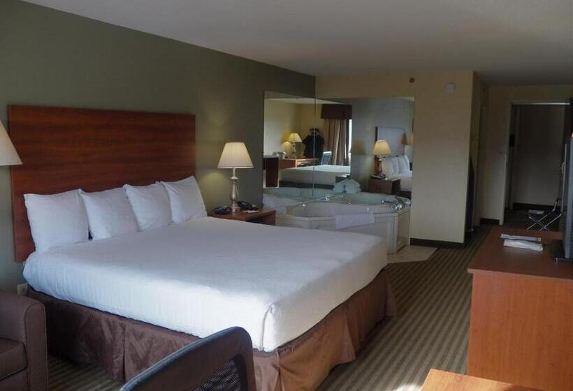 キングサイズベッドのスタンダードルーム, Best Western Of Wise