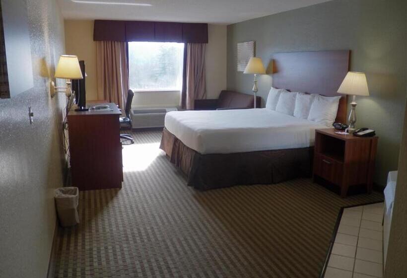 キングサイズベッドのスタンダードルーム, Best Western Of Wise