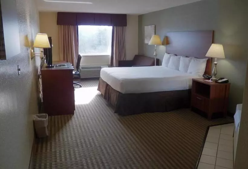 キングサイズベッドのスタンダードルーム, Best Western Of Wise