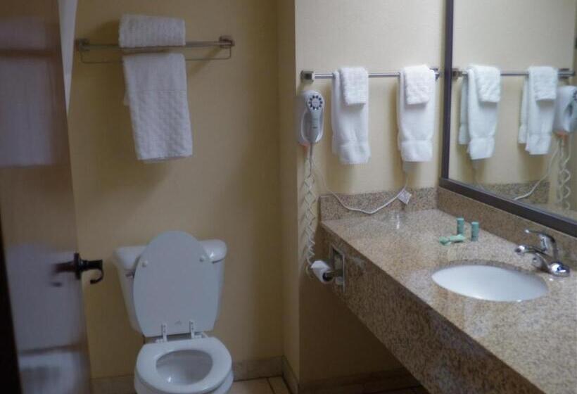 キングサイズベッドのスタンダードルーム, Best Western Of Wise