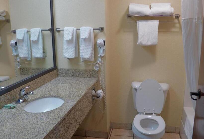 キングサイズベッドのスタンダードルーム, Best Western Of Wise