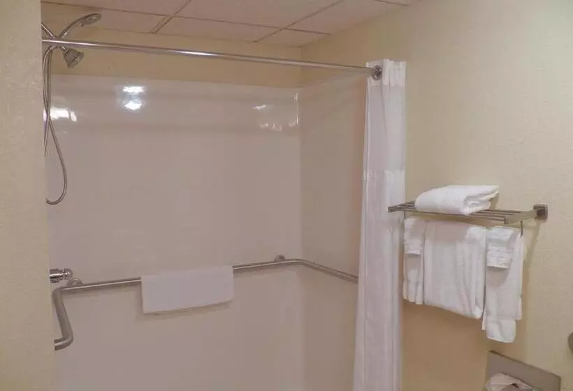 身障者適用キングサイズベッドルーム, Best Western Of Wise