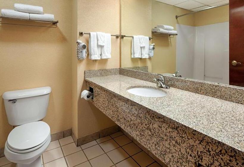 身障者適用キングサイズベッドルーム, Best Western Of Wise