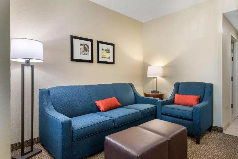 キングサイズベッドのスイートルーム, Comfort Inn & Suites Tavares North