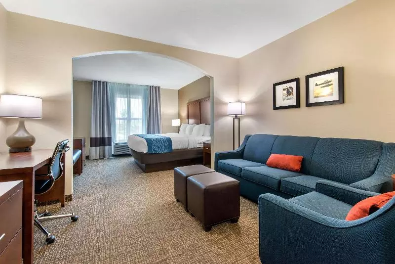 キングサイズベッドのスイートルーム, Comfort Inn & Suites Tavares North