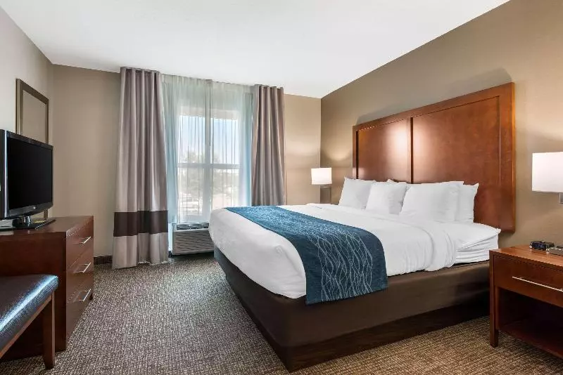 キングサイズベッドのスイートルーム, Comfort Inn & Suites Tavares North