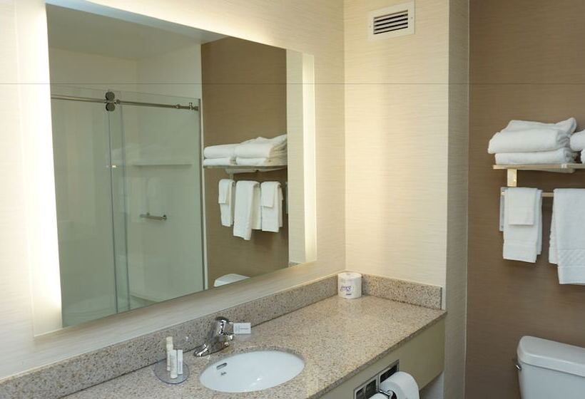 Президентский Люкс, Fairfield By Marriott Inn & Suites Jonestown Lebanon Valley