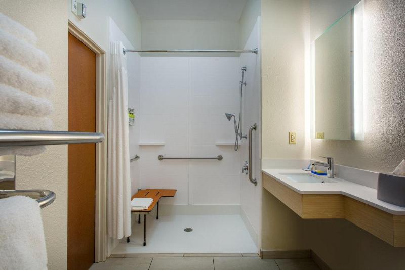 غرفة قياسية سرير كينج لذوى الإحتياجات الخاصة, Holiday Inn Express Hotel & Suites Lewisburg, An Ihg